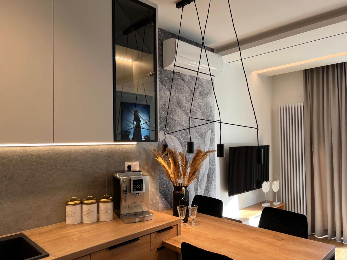 Family & Business Elegant Apartments Ul Lotnicza Centrum Galeria Korona - 1 Bedroom, Terrace, Air Conditioning, Garage - New! 凯尔采 外观 照片